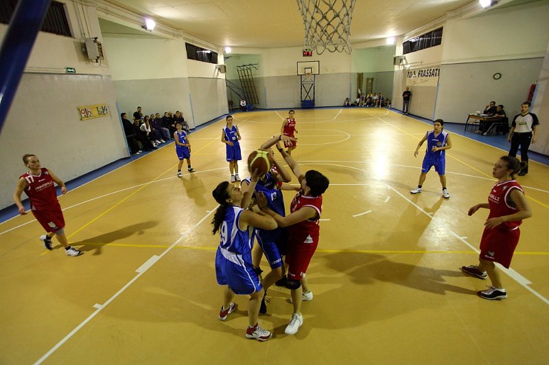 Basket 443089